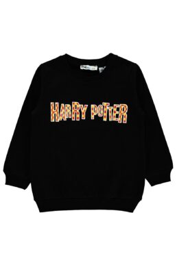 خرید مستقیم از ترکیه و ترندیول سویشرت پسرانه برند هری پاتر Harry Potter با کد 19C661506K21