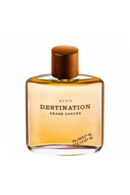 خرید مستقیم از ترکیه و ترندیول عطر مردانه برند آوون Avon با کد DESTINATION GRAND CANYON