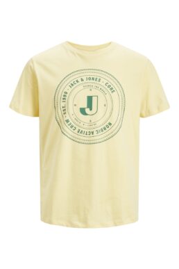 خرید مستقیم از ترکیه و ترندیول تیشرت مردانه برند جک اند جونز Jack & Jones با کد 12242916