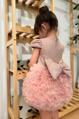 خرید مستقیم از ترکیه و ترندیول لباس نوزاد دخترانه برند  penu baby kids با کد elbisetütü1