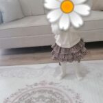 ست نوزادی دخترانه برند مینی بچه ها عزیزم Mini Kids Baby اصل şortetek photo review