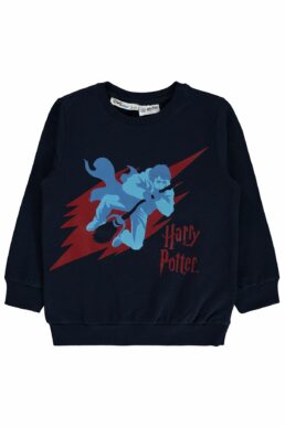 خرید مستقیم از ترکیه و ترندیول سویشرت پسرانه برند هری پاتر Harry Potter با کد 19958169523W1