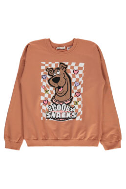 خرید مستقیم از ترکیه و ترندیول سویشرت پسرانه برند اسکو بی دوو Scooby Doo با کد 19849161823W2